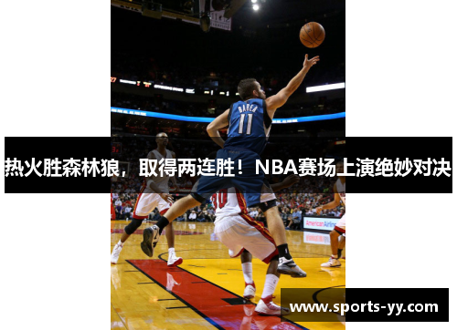 热火胜森林狼，取得两连胜！NBA赛场上演绝妙对决